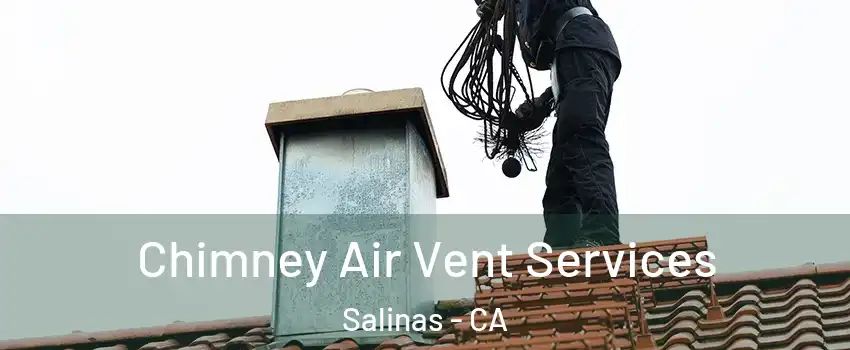 Chimney Air Vent Services Salinas - CA