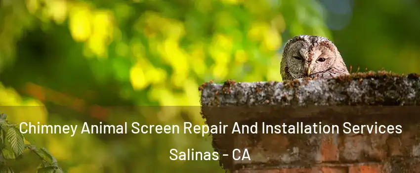 Chimney Animal Screen Repair And Installation Services Salinas - CA