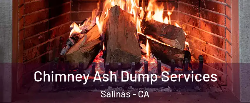 Chimney Ash Dump Services Salinas - CA