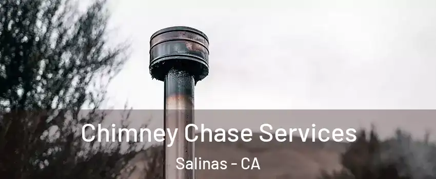Chimney Chase Services Salinas - CA