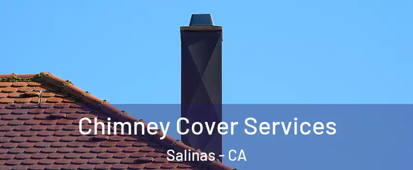 Chimney Cover Services Salinas - CA