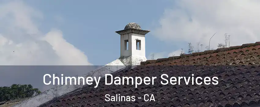 Chimney Damper Services Salinas - CA