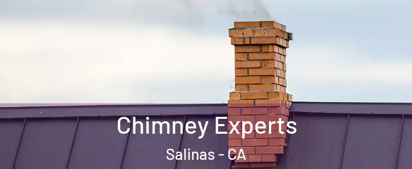 Chimney Experts Salinas - CA