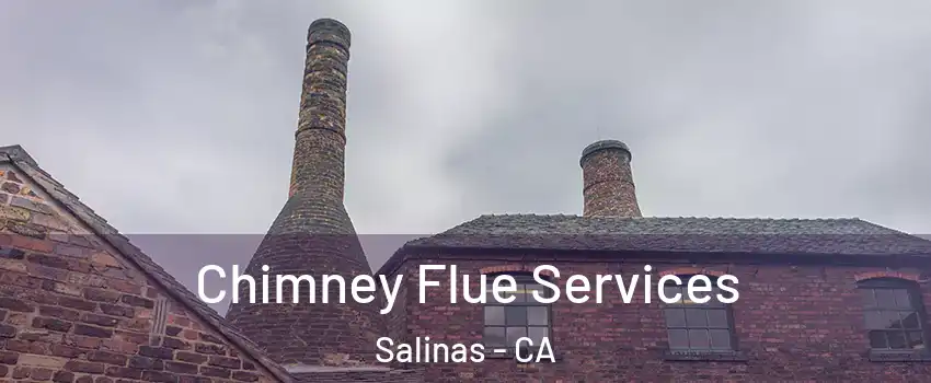 Chimney Flue Services Salinas - CA
