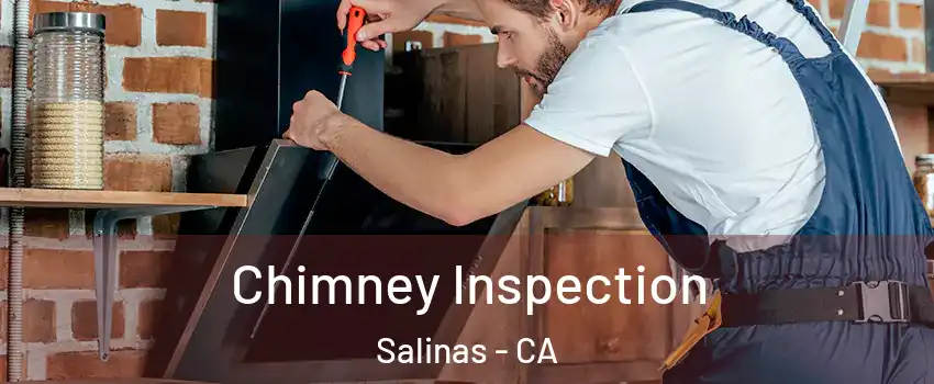 Chimney Inspection Salinas - CA