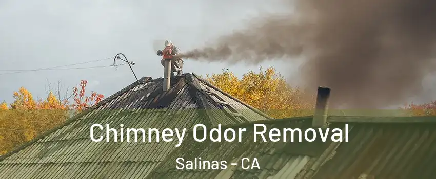 Chimney Odor Removal Salinas - CA