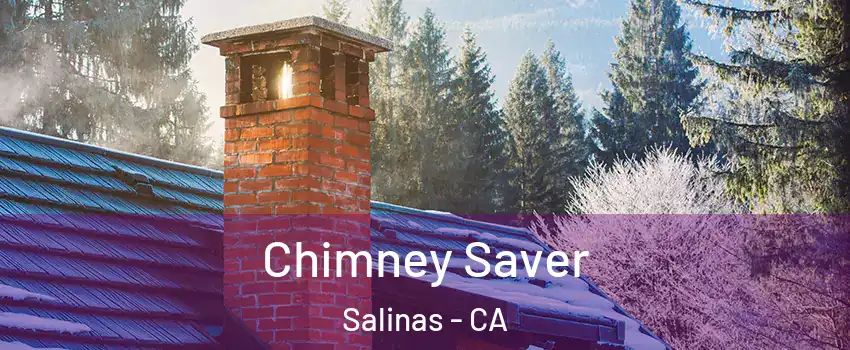 Chimney Saver Salinas - CA