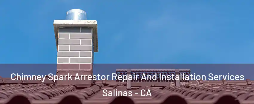 Chimney Spark Arrestor Repair And Installation Services Salinas - CA