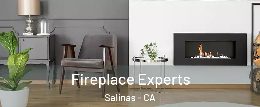 Fireplace Experts Salinas - CA