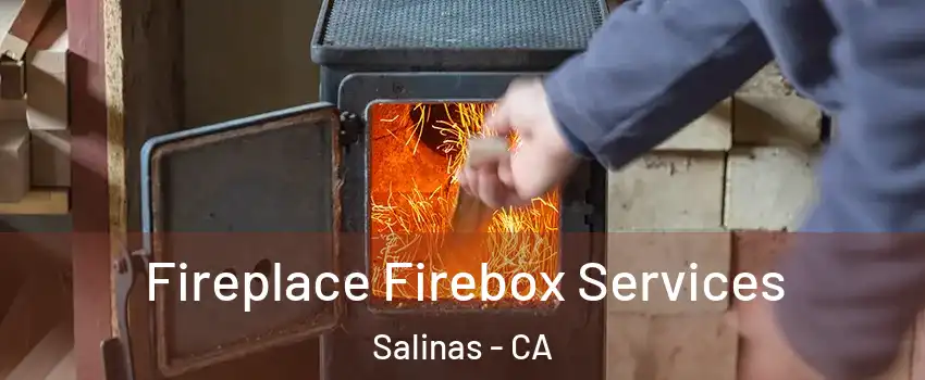 Fireplace Firebox Services Salinas - CA
