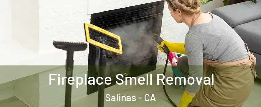 Fireplace Smell Removal Salinas - CA