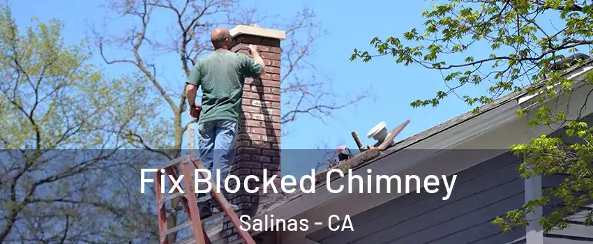 Fix Blocked Chimney Salinas - CA