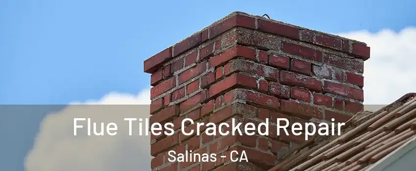 Flue Tiles Cracked Repair Salinas - CA