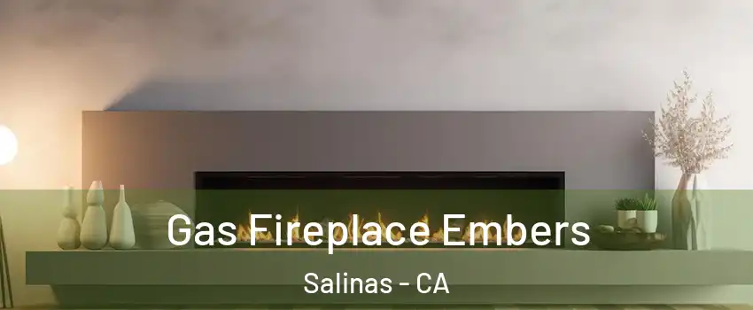 Gas Fireplace Embers Salinas - CA