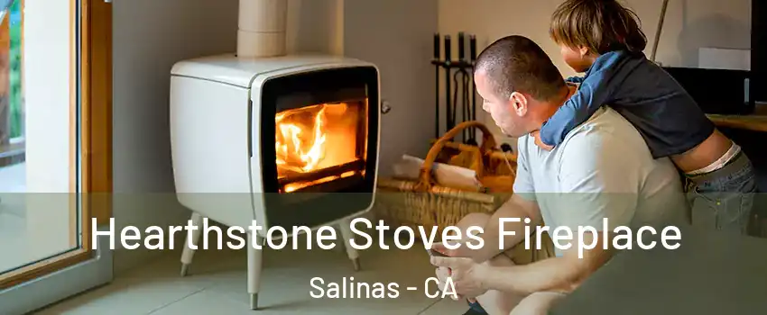 Hearthstone Stoves Fireplace Salinas - CA