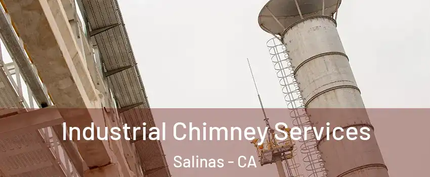 Industrial Chimney Services Salinas - CA