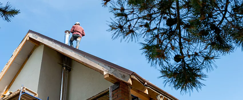 Birds Removal Contractors from Chimney in Salinas, CA