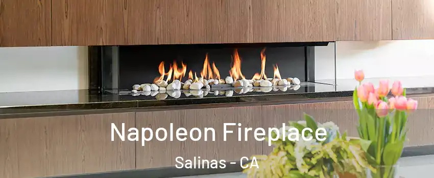 Napoleon Fireplace Salinas - CA
