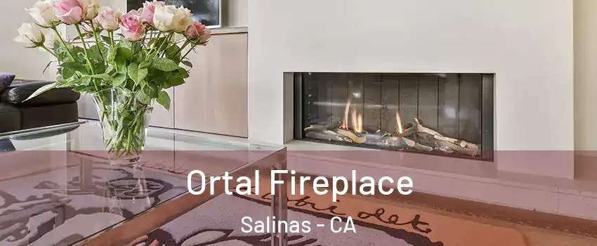 Ortal Fireplace Salinas - CA