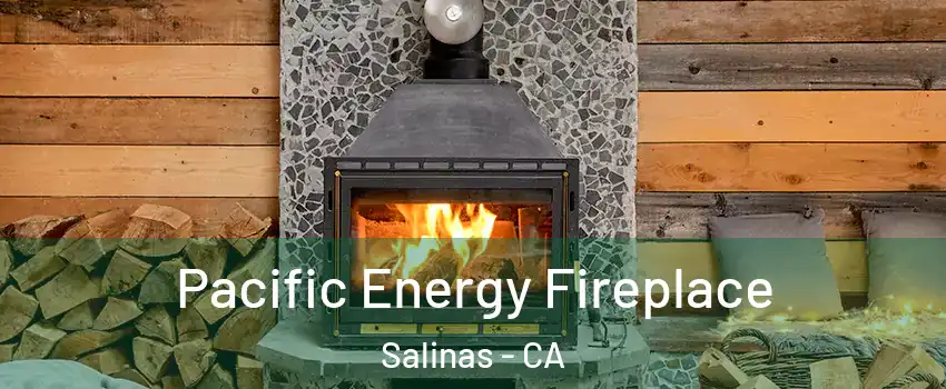 Pacific Energy Fireplace Salinas - CA
