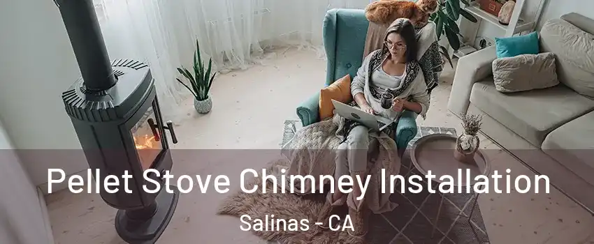 Pellet Stove Chimney Installation Salinas - CA